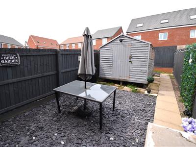 Picture 15